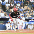Vuelve la pelota: LIDOM abre este viernes con Escogido-Licey y el bicampeón va por el tricampeonato